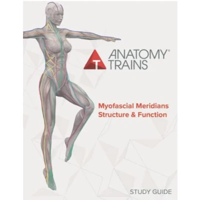 Afbeelding van Anatomy Trains Myofascial Meridians Structure &amp; Function Study Guide