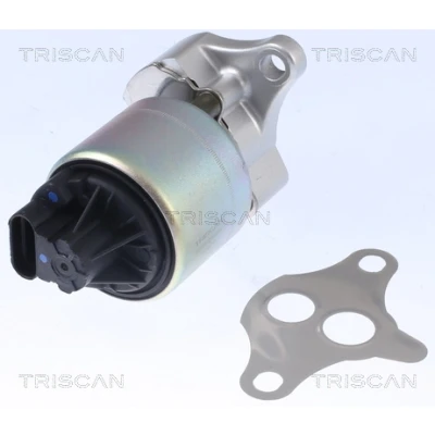 Afbeelding van Triscan EGR klep 8813 21001