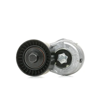 Afbeelding van Riemspanner, Poly V riem INA 534 0109 20