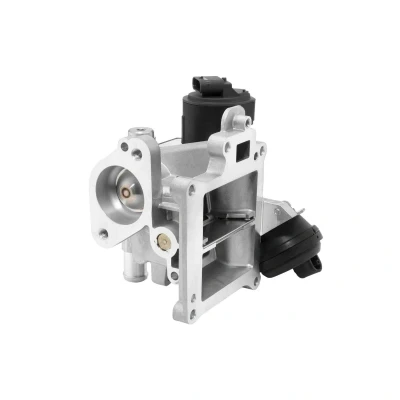 Afbeelding van EGR klep WAHLER 710626D0
