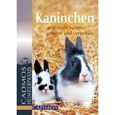 Afbeelding van Kaninchen