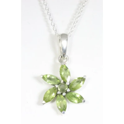 Afbeelding van Zilveren hanger met peridoot aan ketting
