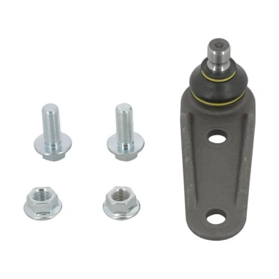 Afbeelding van Moog Fuseekogel RE BJ 10718