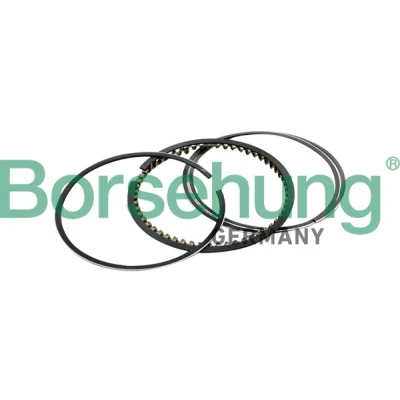 Afbeelding van Zuigerveerset Borsehung B10367