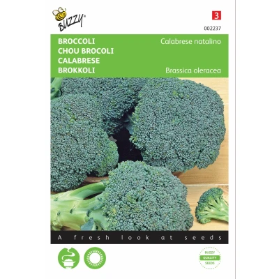 Afbeelding van Broccoli Calabrese natalino, groen