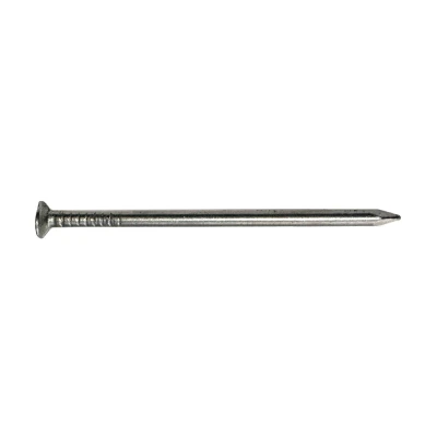 Afbeelding van Nagel Platte Kop RVS 1 KG 1,6 MM x 20