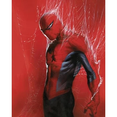 Afbeelding van Komar Artprint Marvel Spider Man Through the Web 40 x 60 cm (breedte hoogte) kinderkamer, decoratie (set)