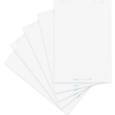 Afbeelding van LANDRE 100050590 Flipchart papier 10 blokken geruit 20 vellen per blok 80 g blanco, recycling 5 Blöcke, gerollt Blanco