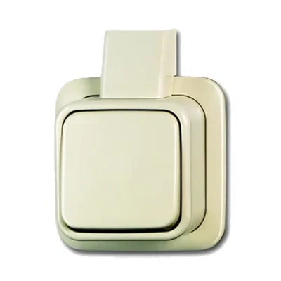 Afbeelding van Busch Jaeger BD2000 Kruisschakel. 1V Creme 2601/7 APJ