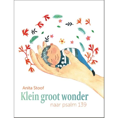 Afbeelding van Klein groot wonder (Hardback)