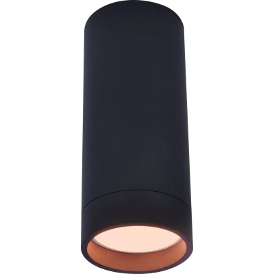 Afbeelding van LUTEC Connect STAG Plafondspot Smart LED RGBW Zwart