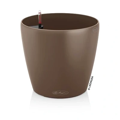 Afbeelding van Lechuza Classico Color 21 Muskaat