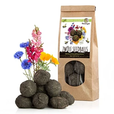 Afbeelding van 12x zaadbommen voor een Kleurrijke bijenweide &amp; nectarrijke Bloemenmix bijen en vlinders