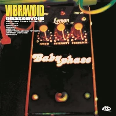 Afbeelding van Vibravoid Phasenvoid (2 LPs)