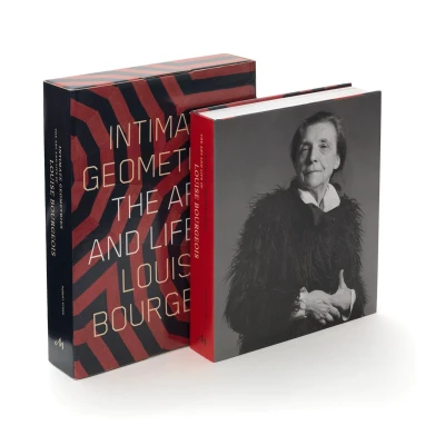 Afbeelding van Intimate Geometries