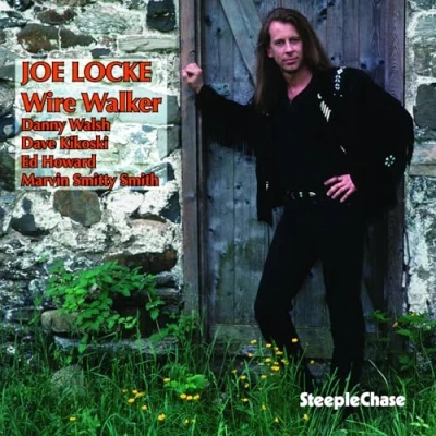 Afbeelding van Joe Locke Wire Walker (CD)