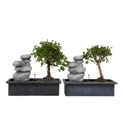 Afbeelding van Bonsai boom met Easy care watersysteem Set van 2 Zen stenen Hoogte 25 35cm
