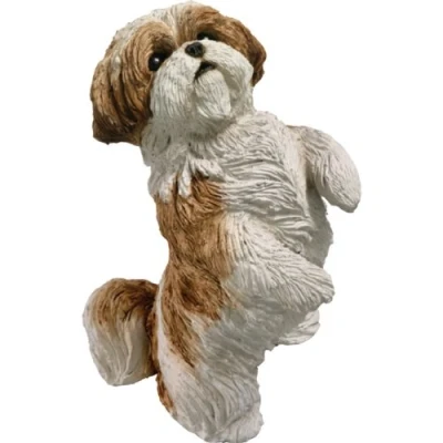 Afbeelding van Sandicast Originele Grootte Goud en Wit Shih Tzu Beeldhouwkunst, Zittend Mooi