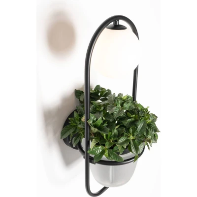 Afbeelding van Lindby Orna wandlamp 1 lamp bloemhanger