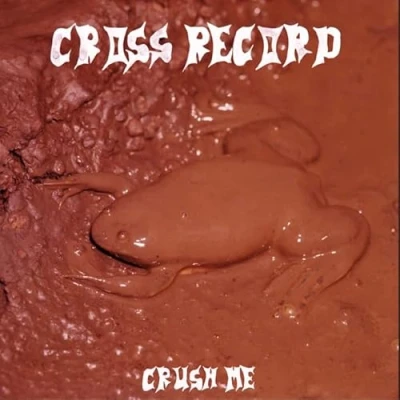 Afbeelding van Cross Record Crush Me (LP)