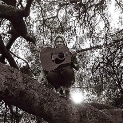 Afbeelding van Ty Segall hello, Hi