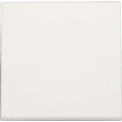 Afbeelding van Niko Origineel Bedieningselement/Centrale Plaat Schakelmateriaal 101 31002 E2CBD