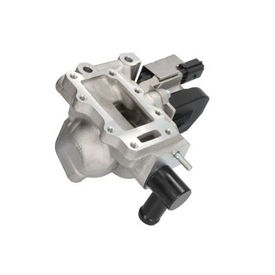 Afbeelding van Delphi Diesel EGR klep EG10579 12B1