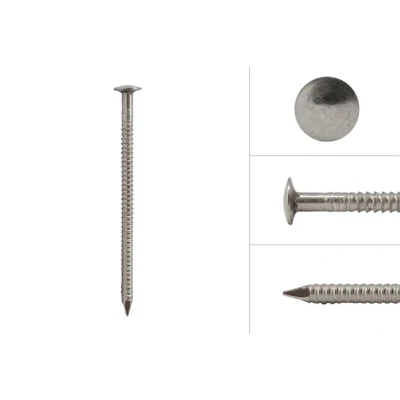 Afbeelding van Bolkop Ringnagels voor Gevelbekleding RVS A4 2.6 x 50 Doos 500 Gram