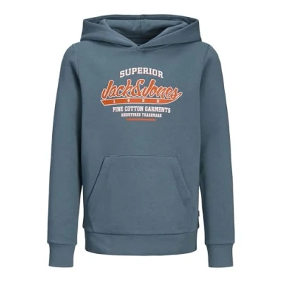 Afbeelding van Jack&amp;Jones mini jongens trui LOGO Oceanview Regular Fit