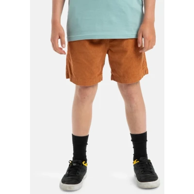 Afbeelding van Quiksilver, Taxer Corduroy shorts met elastische taille, voor kinderen, vanaf 14 jaar, BRAN, beha, Jaren