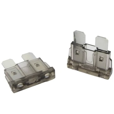 Afbeelding van 5 stuks. SeKi standaard ATO platte steekzekering 2A grijs; autozekering 19 mm zekering 32 V/DC boot caravan