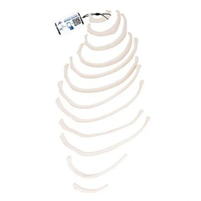 Afbeelding van 3B Scientific Menselijke anatomie ribmodellen met 12 losse ribben + gratis anatomiesoftware Smart Anatomy