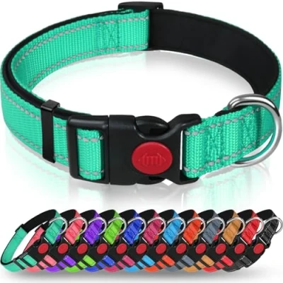 Afbeelding van Taglory Reflecterende nylon hondenhalsband met veiligheidsgesp, verstelbare halsband, zachte neopreen voering, voor middelgrote honden, turquoise
