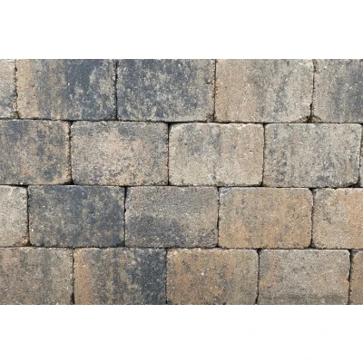 Afbeelding van Kijlstra trommelsteen 21x14x7 Cm Musselkalk Een is geschikt voor tuin, oprit en terras