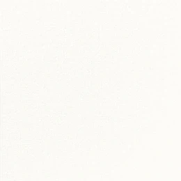 Afbeelding van 2880x Duni Servetten dunisoft 20cm wit