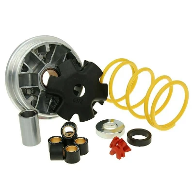 Afbeelding van Variomatik Malossi Multivar voor Honda SH, Lead, PGO
