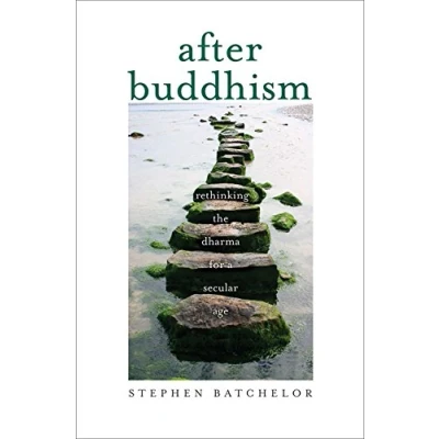 Afbeelding van After Buddhism: Rethinking the Dharma for a Secular Age