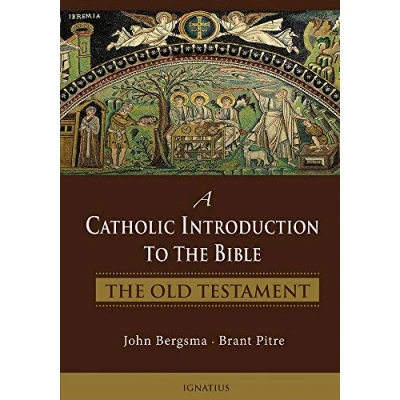 Afbeelding van A Catholic Introduction to the Bible