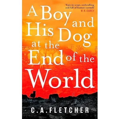 Afbeelding van A Boy and his Dog at the End of World