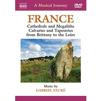 Afbeelding van Various Artists A Musical Journey, France (Fauré) (DVD)