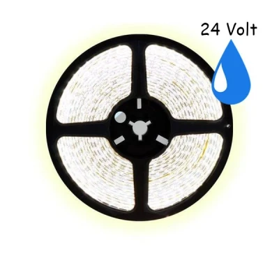 Afbeelding van 5 meter koud wit led strip waterproof IP65 60Leds/m 24V
