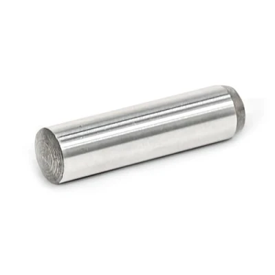 Afbeelding van Ganter Normelemente Cilinderpennen DIN 6325 10 stuks grootte 6x18 tolerantie m6 staal