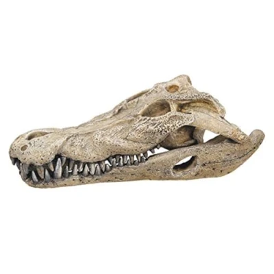 Afbeelding van Nobby aqua deco krokodil schedel medium 26 x 14 9 cm