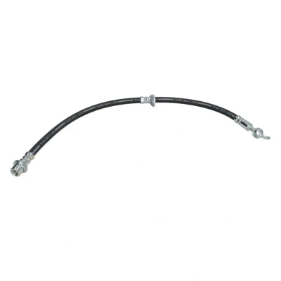 Afbeelding van Delphi Diesel Remslang LH6454