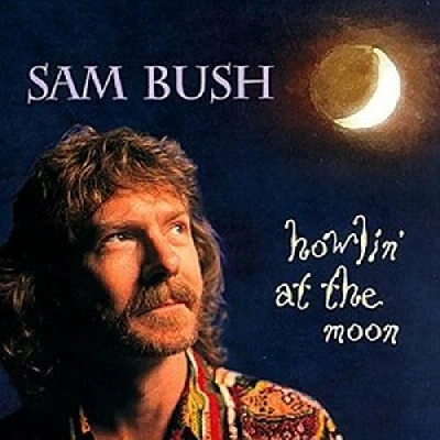 Afbeelding van Howlin&#039; At The Moon