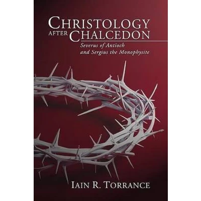 Afbeelding van Christology After Chalcedon