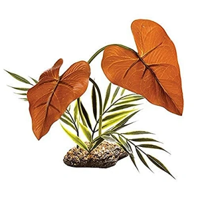 Afbeelding van Komodo Rain Forest Canopy