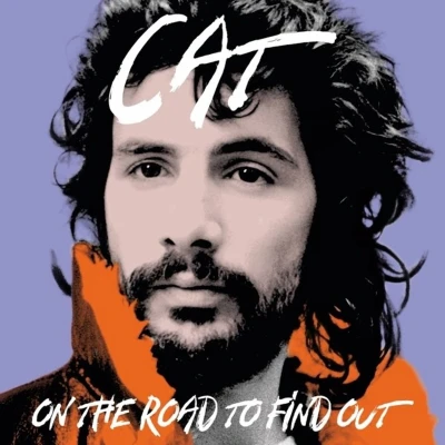 Afbeelding van Yusuf &amp; Cat Stevens On The Road To Findout: Greatest Hits (CD)