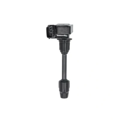 Afbeelding van Delphi Diesel Bobine GN10431 12B1