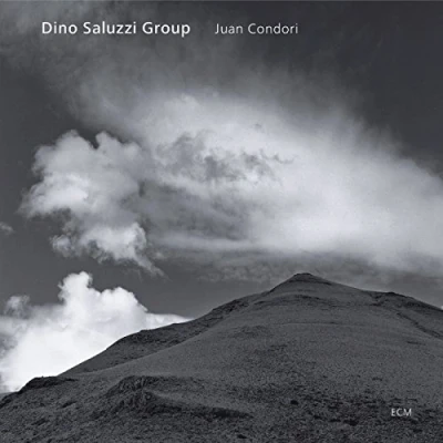Afbeelding van Dino Group Saluzzi Juan Condori (CD)